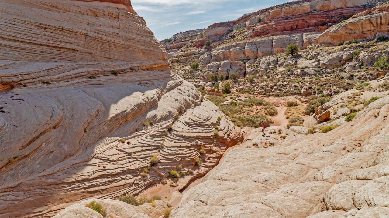 Under Canvas Powell-grand Staircase Luxury tent