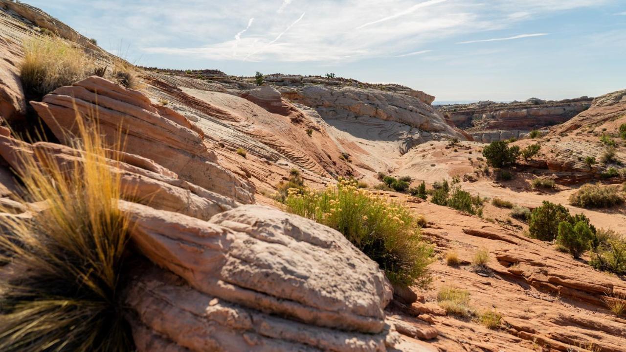 Under Canvas Powell-grand Staircase Luxury tent